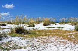 anna maria island wikipedia